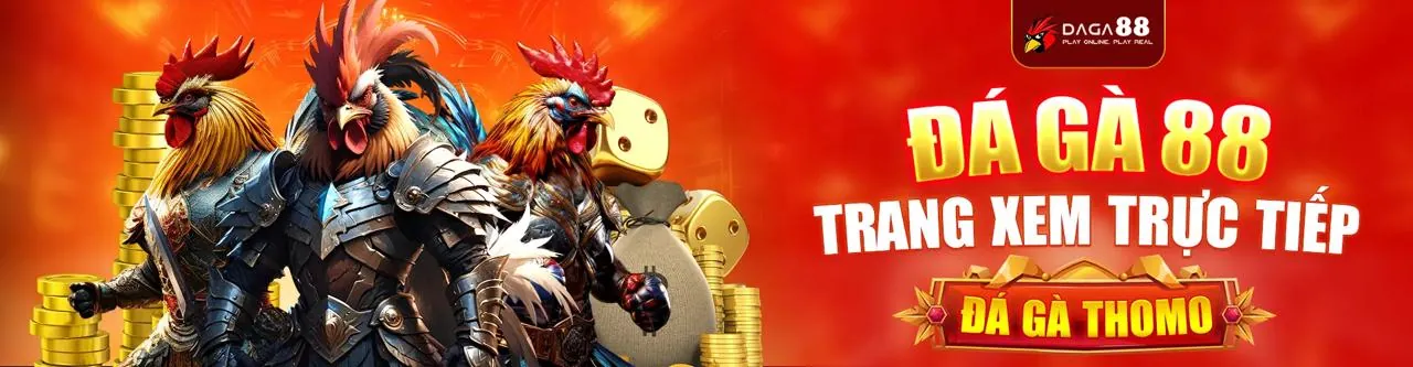 Tin tức mới nhất về TF88 Info, cập nhật thể thao và casino