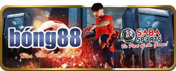 Ưu đãi đặc biệt dành cho thành viên VIP của TF88 Info