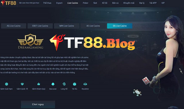 TF88 casino - Nền tảng cá cược trực tuyến hiện đại và thông minh nhất hiện nay