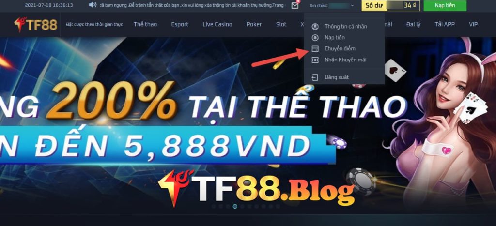 Chuyển quỹ TF88 là gì