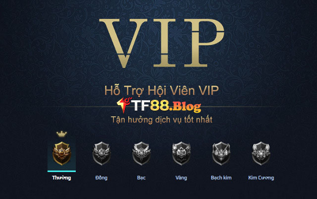 VIP TF88 là gì?