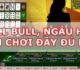 Bull Bull là gì? Hướng dẫn chi tiết cách chơi Bull Bull TF88